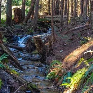  Bed & Breakfast Forest Haven Hideaway Canada